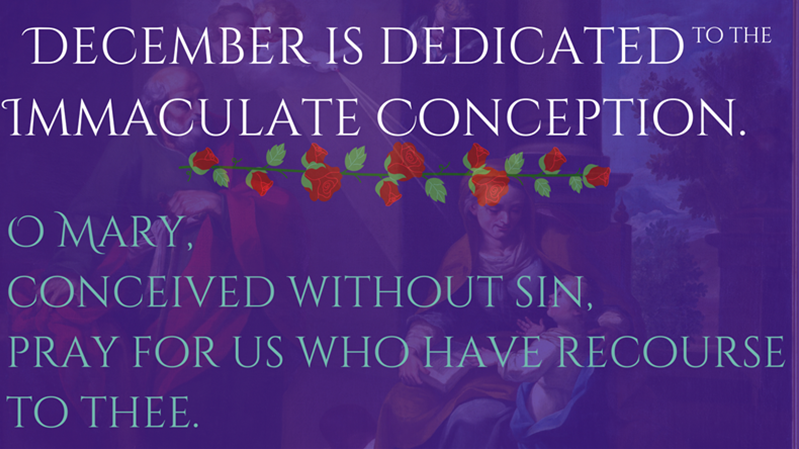 December is Devoted to the Immaculate Conception