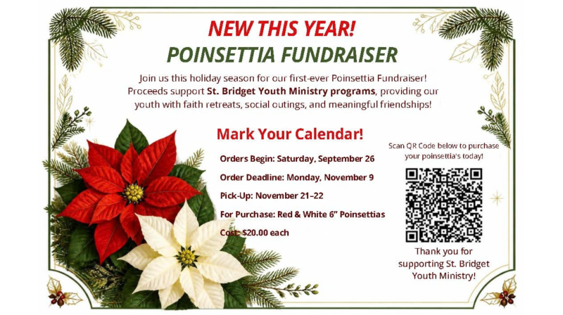 2026 Poinsettias